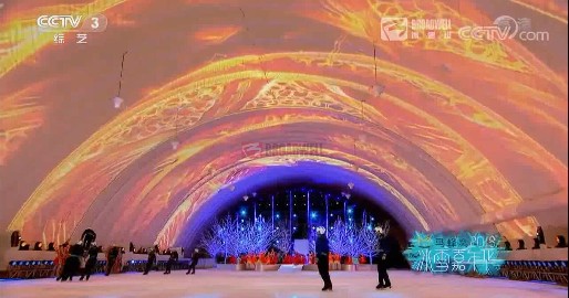 陈露奥之星北京气膜冰上中心