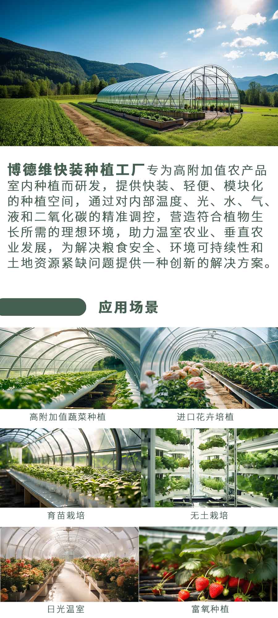 博德维快装种植工厂 