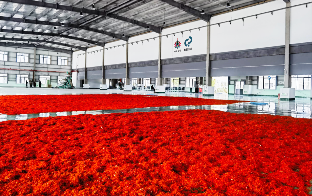 BroadCool's mobile clean cold storage for Yunnan Baiyao safflower.png